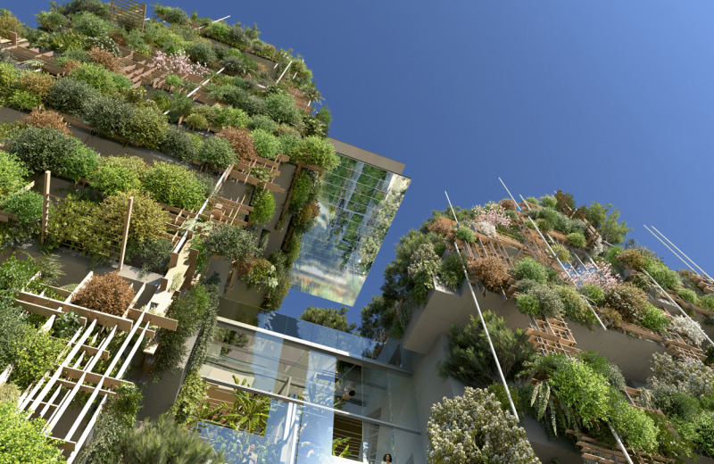 Evanesens_contre_plongee