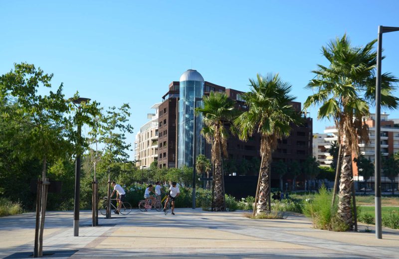 Port-Marianne-velos-palmier-plein-air_free_format Port-Marianne-velos-palmier-plein-air_free_format