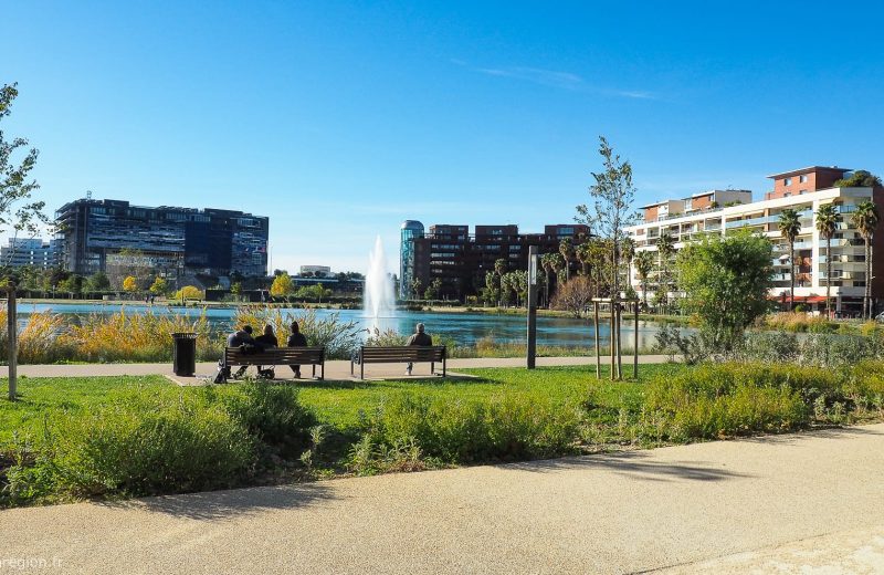 bassin-jacques-coeur-montpellier-17 bassin-jacques-coeur-montpellier-17