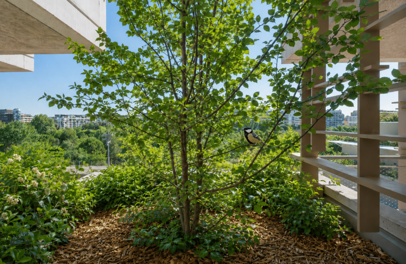 jardinière EVANESENS